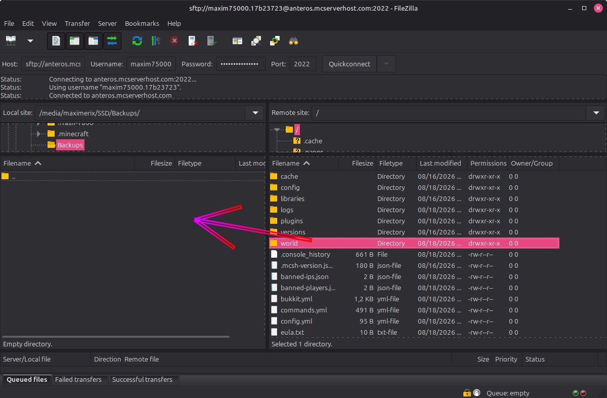 FileZilla downloading world