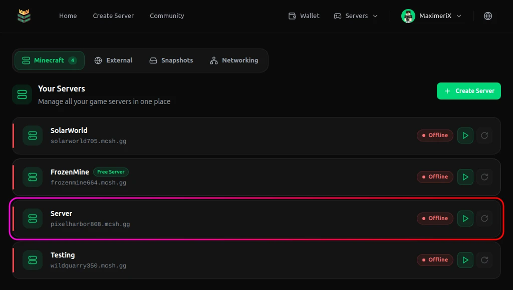 Server panel with a server highlighted